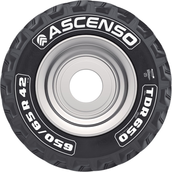 Шины 650/65R38 Ascenso TDR-650 R-1W 163D TL